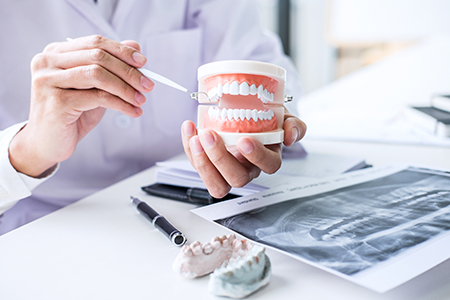 The image shows a dental professional holding a tooth model with a tool, examining it closely, with a close-up view of their hands and the model.